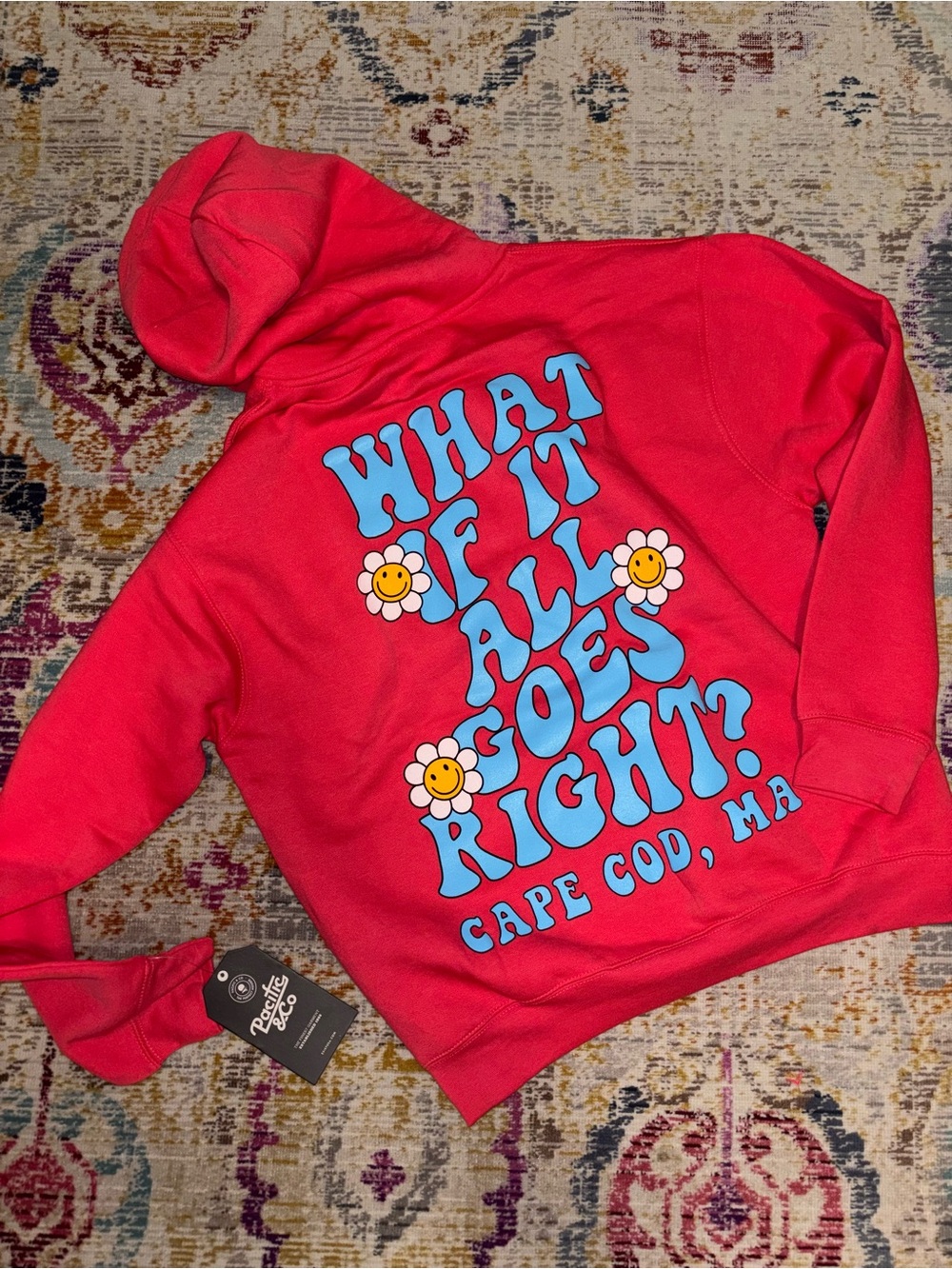Cape Cod MA “what if it all goes right?” Hoodie